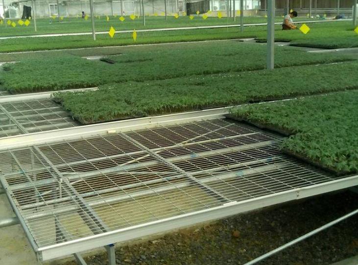 <a href='http://www.chinabigmarket.com/miaochuangsheshi/199.html'target='_blank'>育苗床</a>.jpg